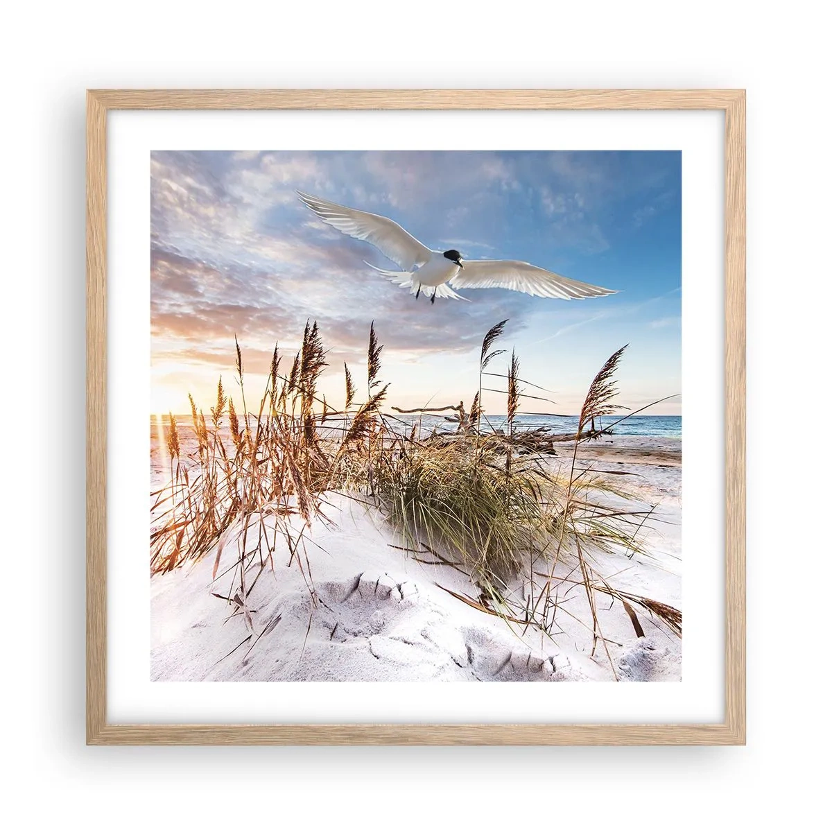 Affiche dans un chêne clair - Poster - Vent de mer - 50x50 cm