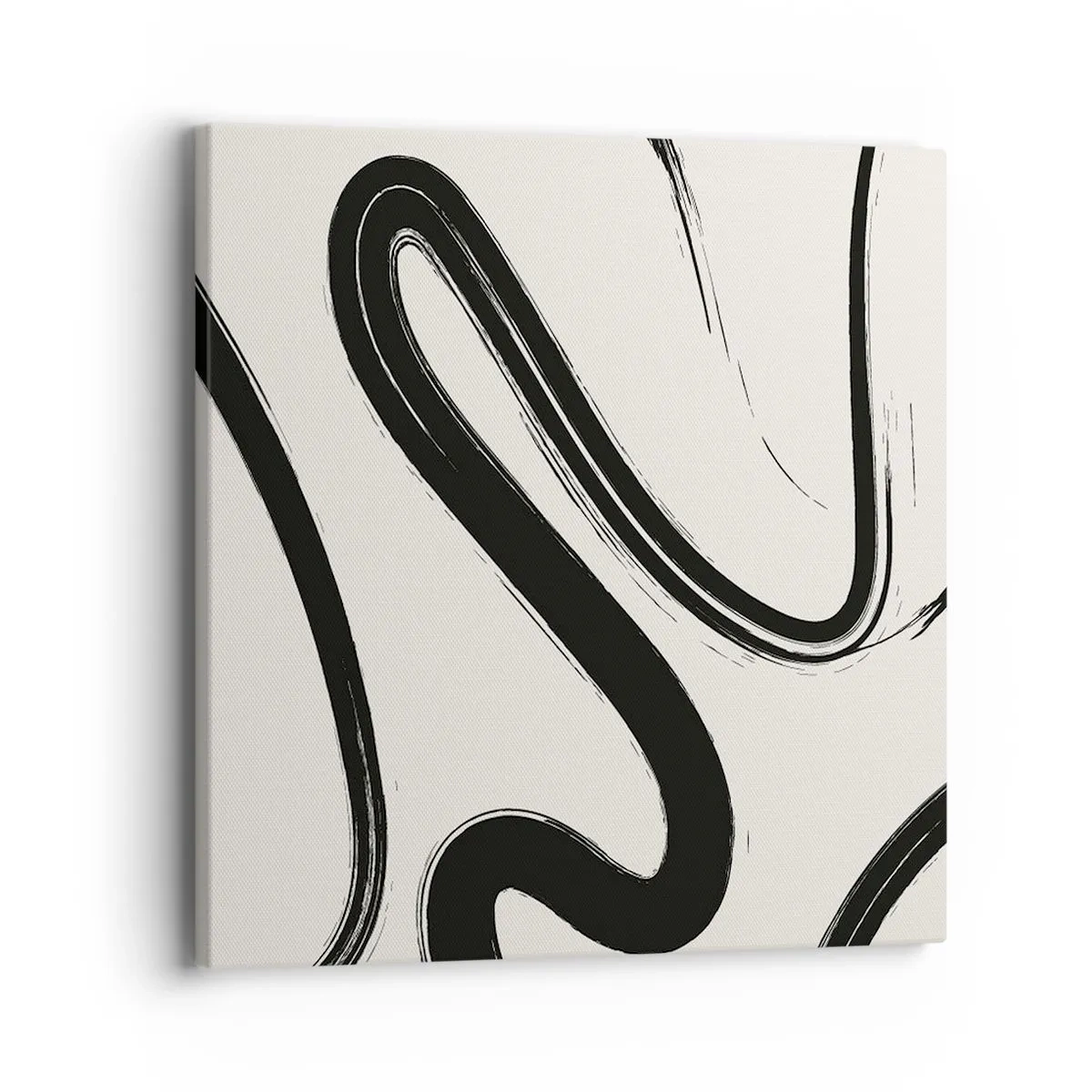 Impression sur toile - Image sur toile - Fantaisie en noir et blanc - 40x40 cm