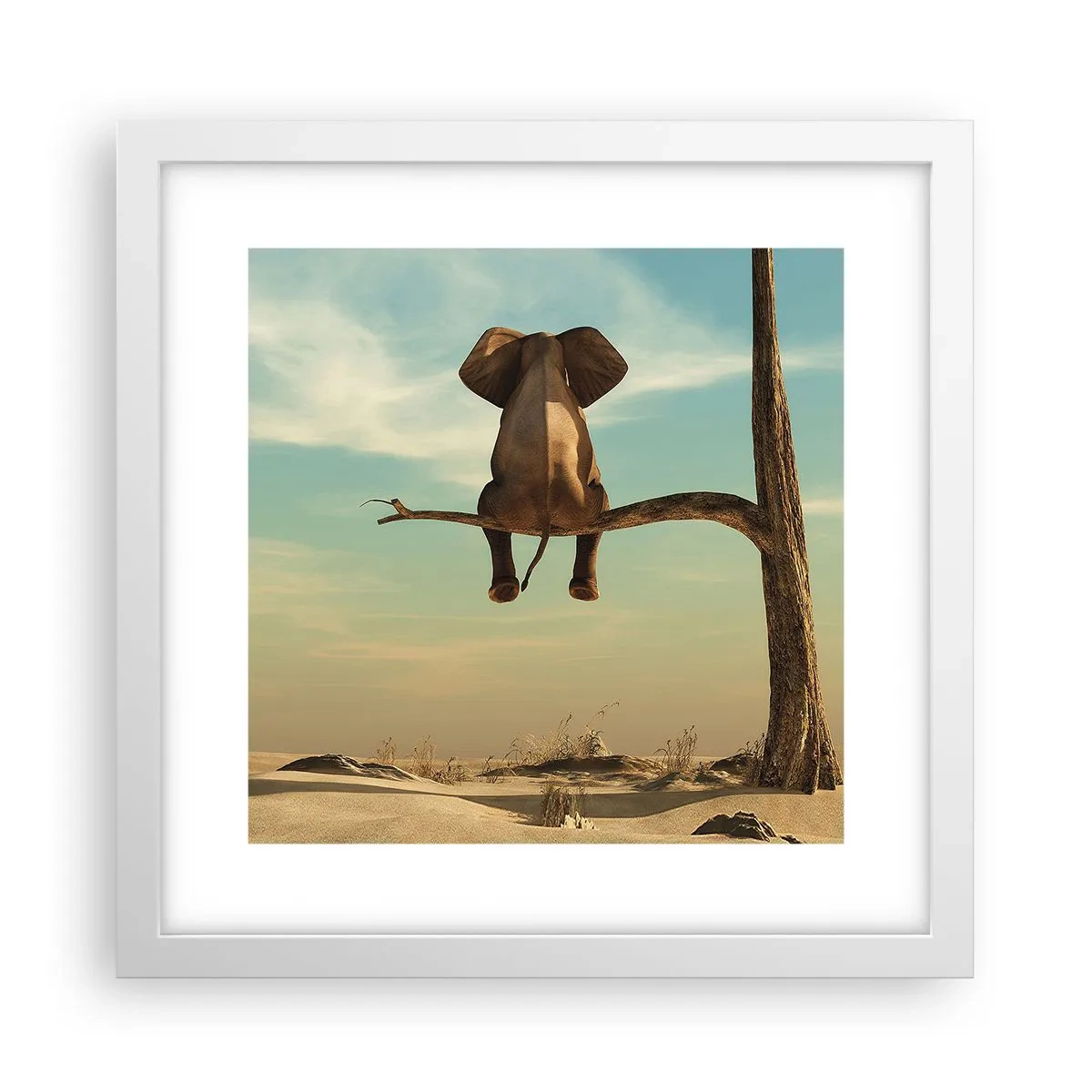 Affiche dans un cadre blanc - Poster - Nouveau point de vue - 30x30 cm