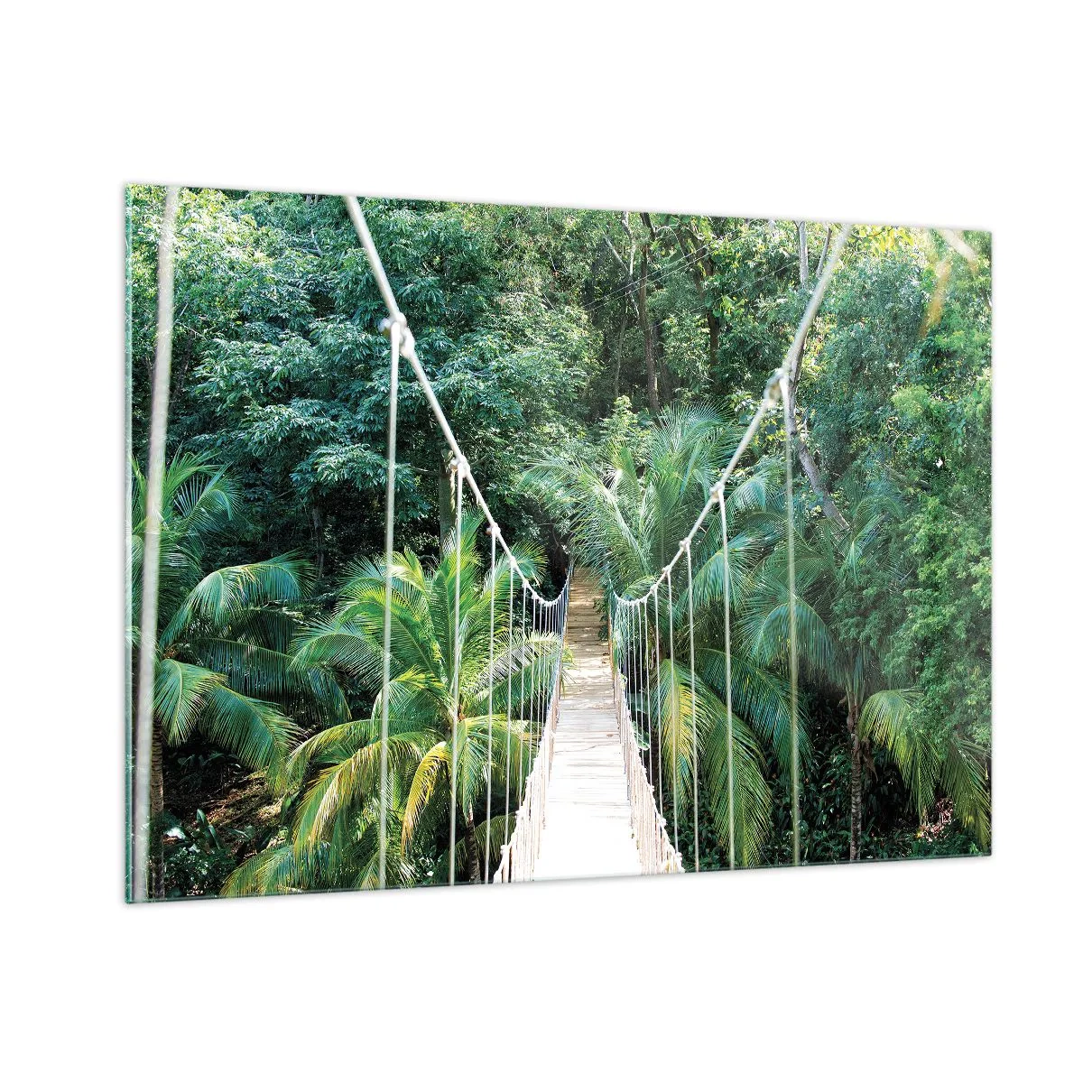 Impression sur verre - Image sur verre - Pont suspendu dans une forêt tropicale - 100x70cm - Welcome to the jungle! - Décoration murale moderne pour le salon et la chambre ARTTOR