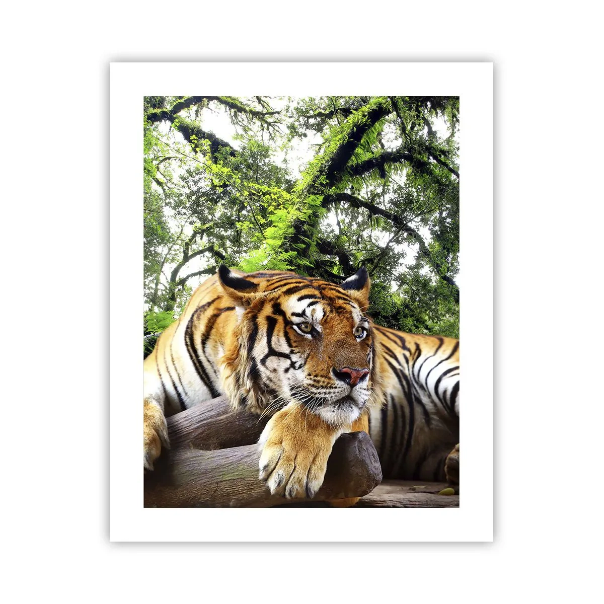 Affiche - Poster - Cordialement - 40x50 cm