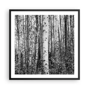 Affiche dans un cadre noir - Poster - Enchevêtrement de bouleau - 60x60 cm
