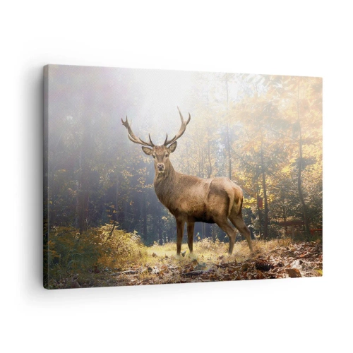 Impression sur toile - Image sur toile - Cerf dans la forêt d'automne avec les rayons du soleil - 70x50cm - Toute sa majesté - Décoration murale moderne pour le salon et la chambre ARTTOR