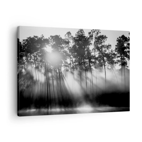 Impression sur toile - Image sur toile - Forêt noire et blanche dans le brouillard du matin - 70x50cm - Soleil inarrêtable - Décoration murale moderne pour le salon et la chambre ARTTOR