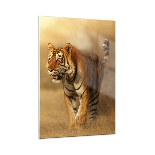 Impression sur verre - Image sur verre - Tigre dans une lumière dorée sur fond de savane sèche - 50x70cm - Avant l'attaque - Décoration murale moderne pour le salon et la chambre ARTTOR