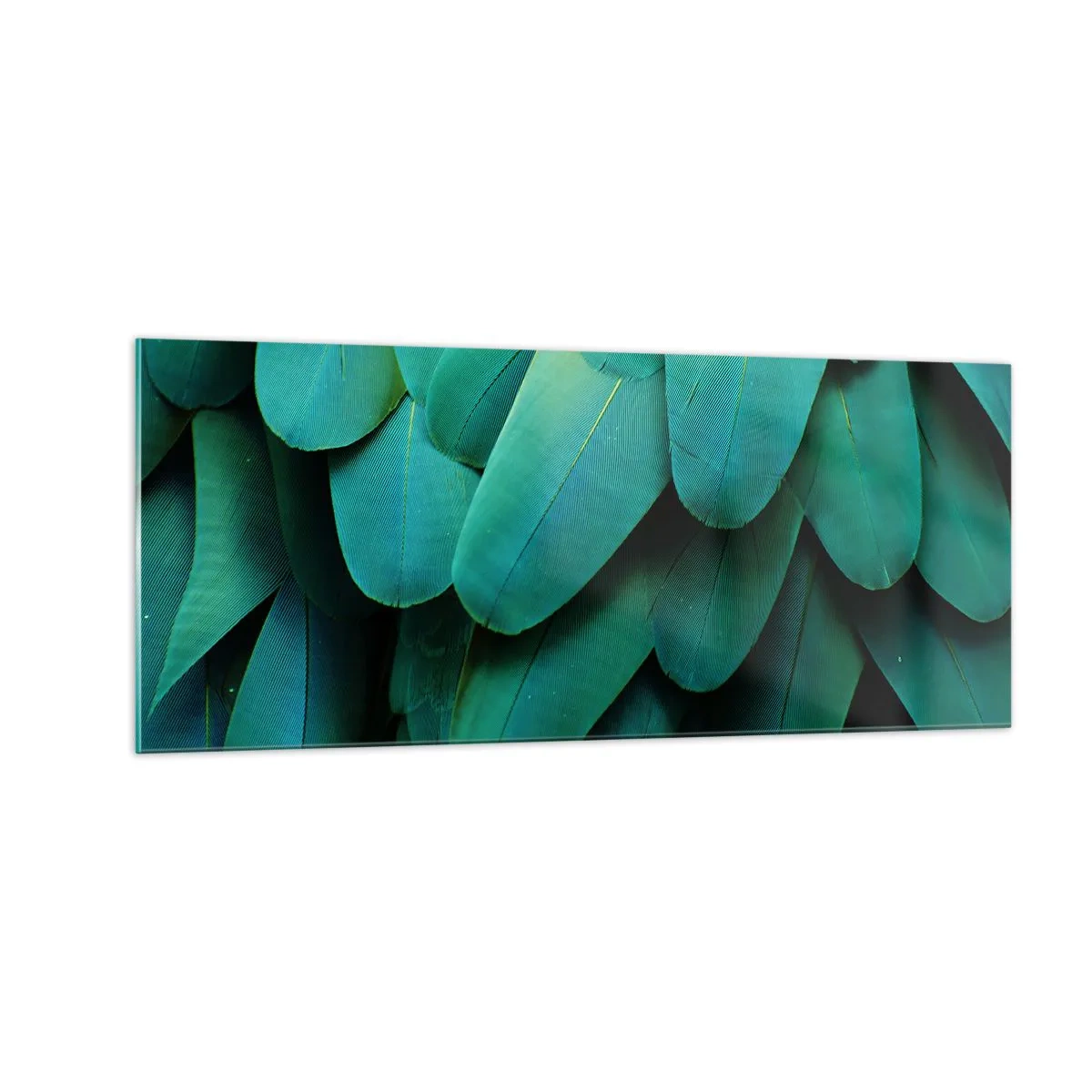 Impression sur verre - Image sur verre - Perfection de la nature du perroquet - 100x40 cm