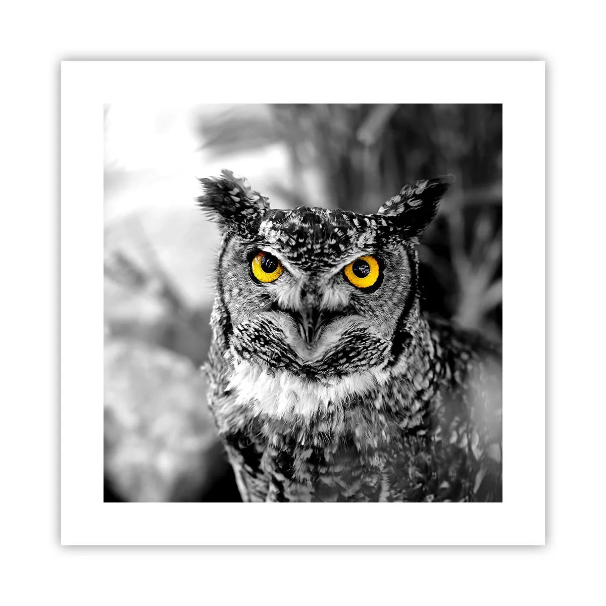 Affiche - Poster - Rien ne se cachera - 40x40 cm