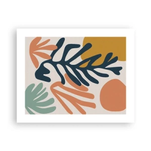 Affiche - Poster - Mers de corail - 50x40 cm