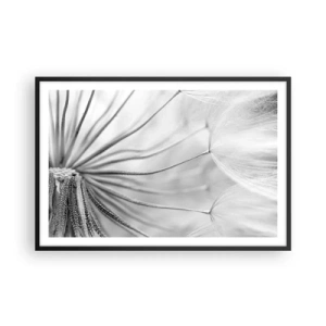 Affiche dans un cadre noir - Poster - Aigrette avant son envol - 91x61 cm