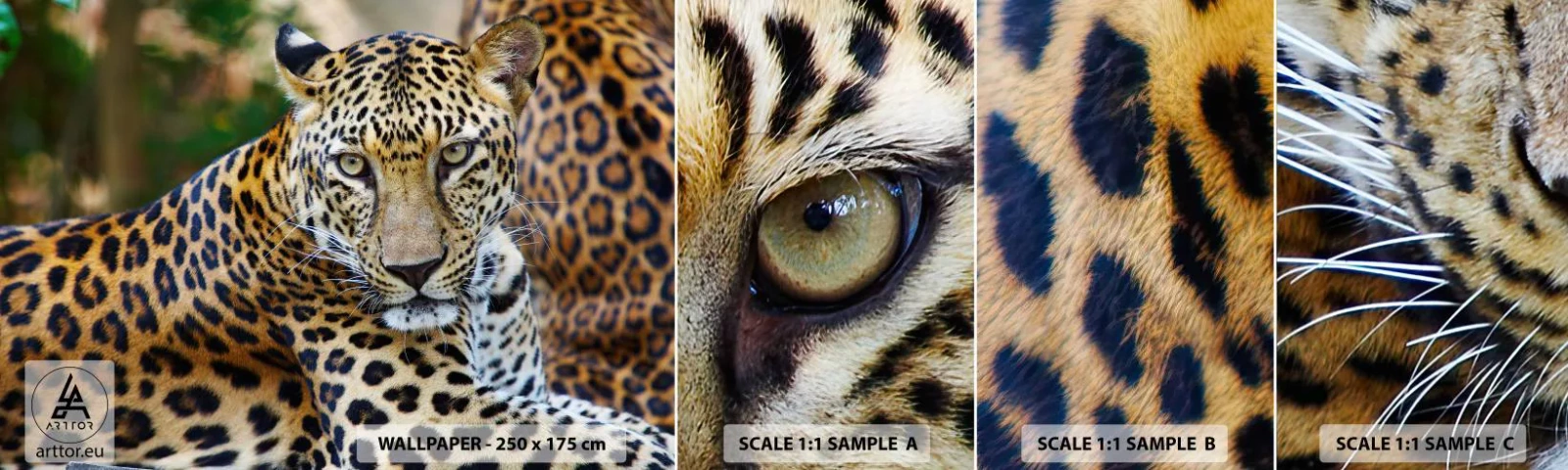 Échantillon De Papier Peint Standard Eco - Sauvage et calme - Animaux, léopard, Afrique - 100x30 cm