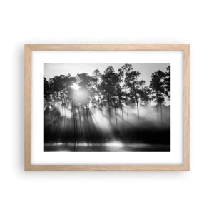 Affiche dans un chêne clair - Poster - Soleil inarrêtable - 40x30 cm