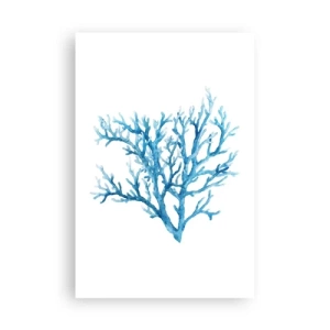 Affiche - Poster - Filigrane nautique - 61x91 cm