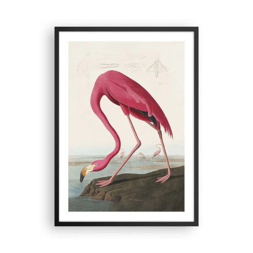 Affiche dans un cadre noir - Poster - Un flamant rose dans un paysage naturel - 50x70cm - Création étonnante - Décoration murale moderne pour le salon et la chambre ARTTOR