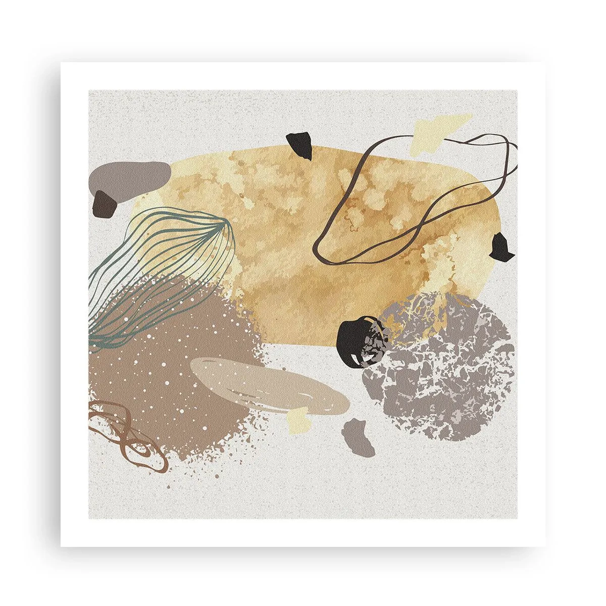 Affiche - Poster - Plumcologie appliquée - 60x60 cm