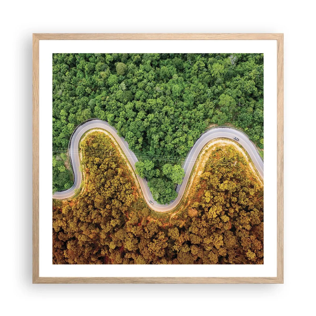 Affiche dans un chêne clair - Poster - Frontieres et differences - 60x60 cm