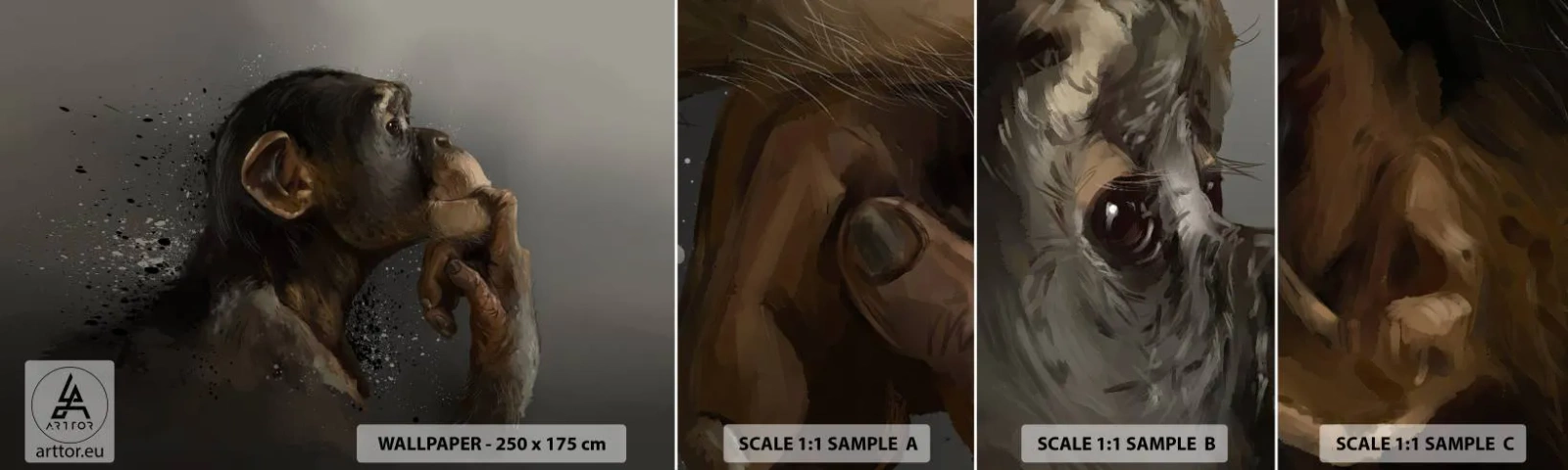 Échantillon de Papier Peint Autocollant Deluxe Sticker - Certainement un penseur - Animaux, Singe, Morceau - 100x30 cm