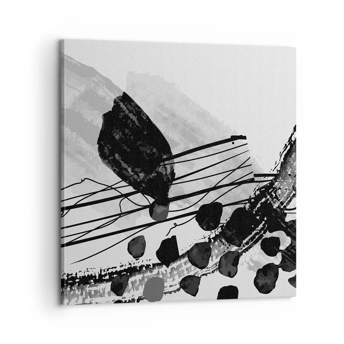 Impression sur toile - Image sur toile - Abstraction organique noir et blanc - 60x60 cm