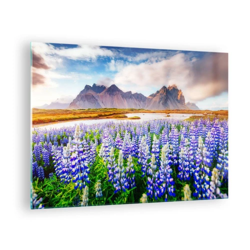 Impression sur verre - Image sur verre - Un paysage de montagne avec une prairie fleurie et des sommets majestueux - 70x50cm - La force et l'austérité côtoient la douceur - Décoration murale moderne pour le salon et la chambre ARTTOR