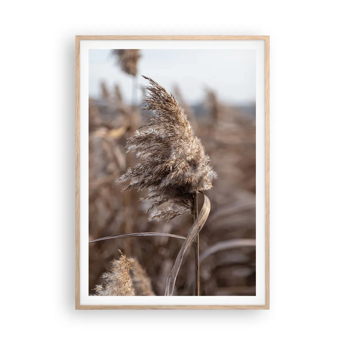 Affiche dans un chêne clair - Poster - Il est temps de s'envoler avec le vent - 70x100 cm