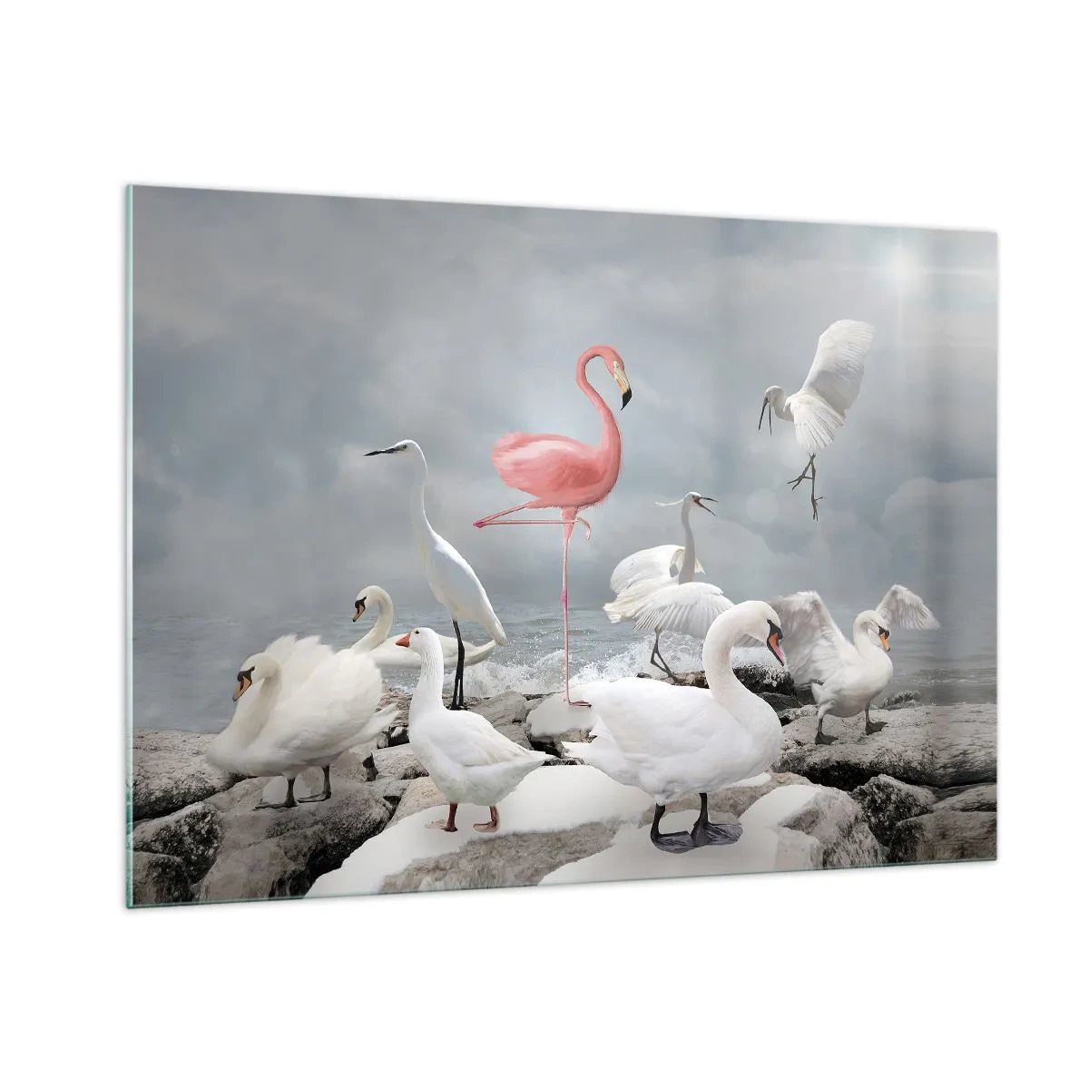 Impression sur verre - Image sur verre - Un flamant rose parmi des cygnes blancs et des hérons contre l'eau - 100x70cm - Comment suis-je arrivé là? - Décoration murale moderne pour le salon et la chambre ARTTOR