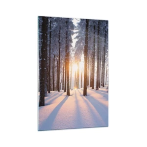 Impression sur verre - Image sur verre - Forêt d'hiver illuminée par les rayons du soleil - 70x100cm - Clairement en noir et blanc - Décoration murale moderne pour le salon et la chambre ARTTOR