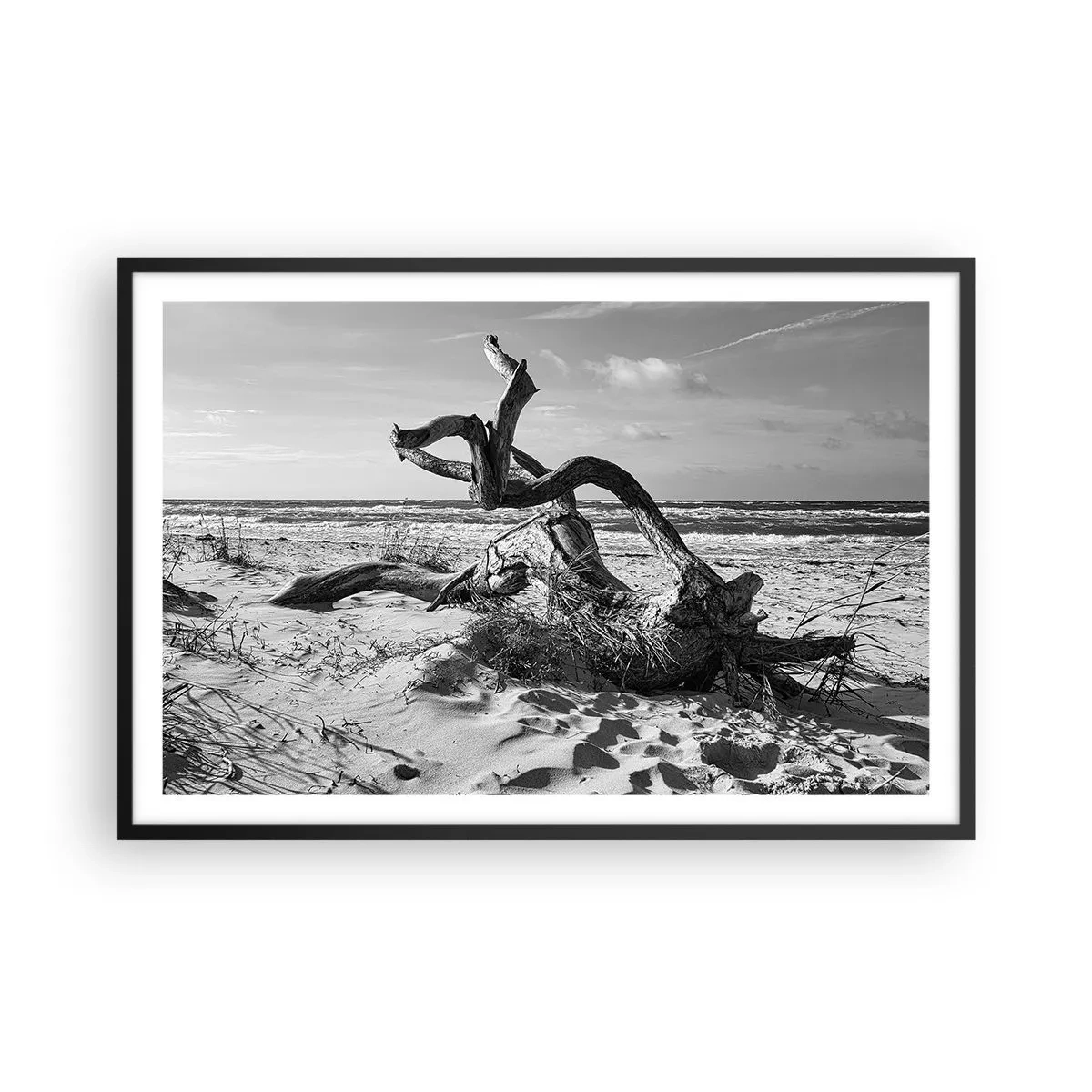 Affiche dans un cadre noir - Poster - Sculpture marine - 91x61 cm