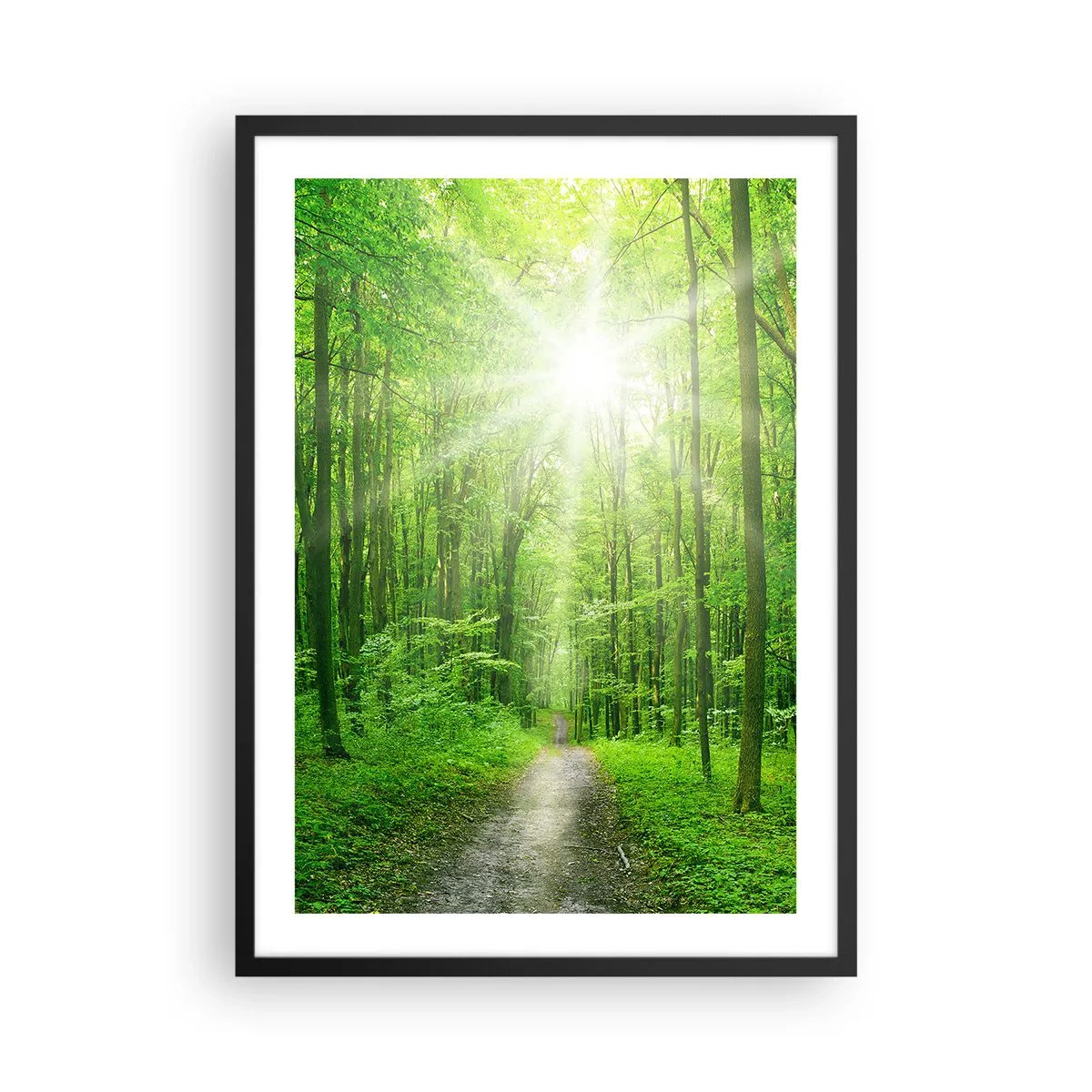 Affiche dans un cadre noir - Poster - Un chemin forestier illuminé par les rayons du soleil - 50x70cm - Cathédrale verte - Décoration murale moderne pour le salon et la chambre ARTTOR