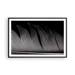 Affiche dans un cadre noir - Poster - La plume – un design magnifique - 91x61 cm
