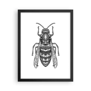 Affiche dans un cadre noir - Poster - D'une planète d'insectes - 30x40 cm