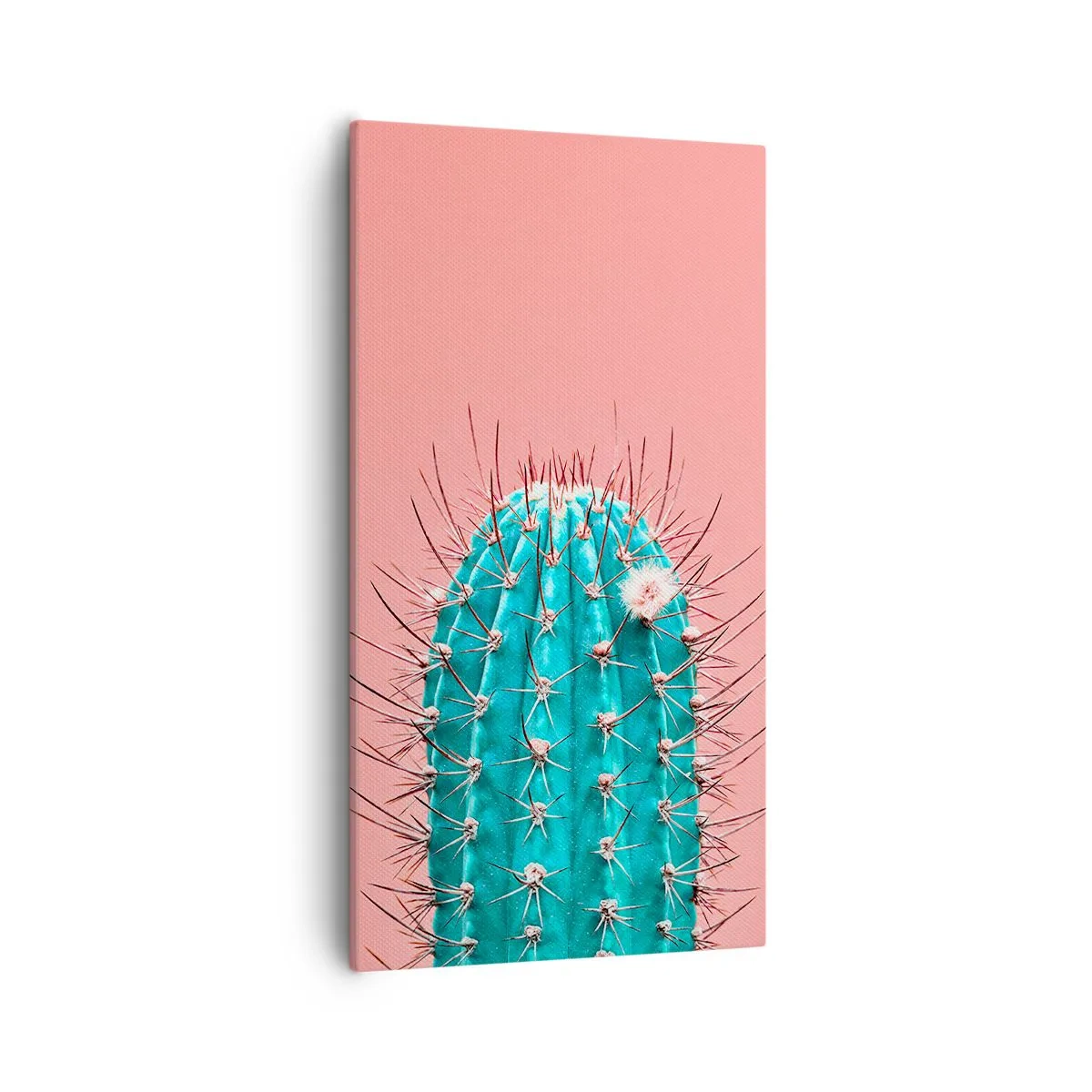 Impression sur toile - Image sur toile - Juste regarde - 55x100 cm