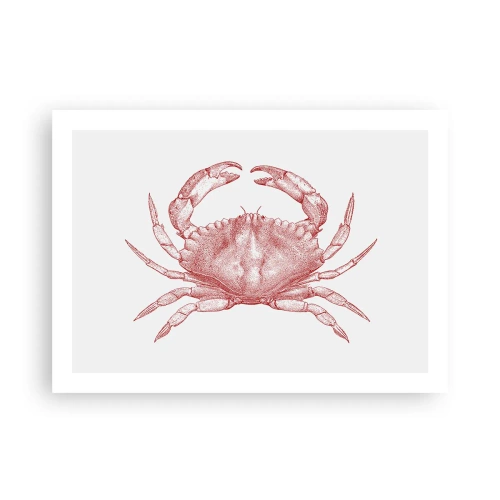 Affiche - Poster - Le crabe des crabes - 70x50 cm