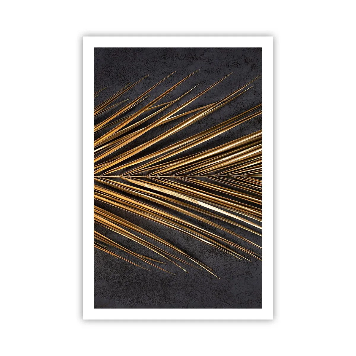 Affiche - Poster - L'or des tropiques - 61x91 cm