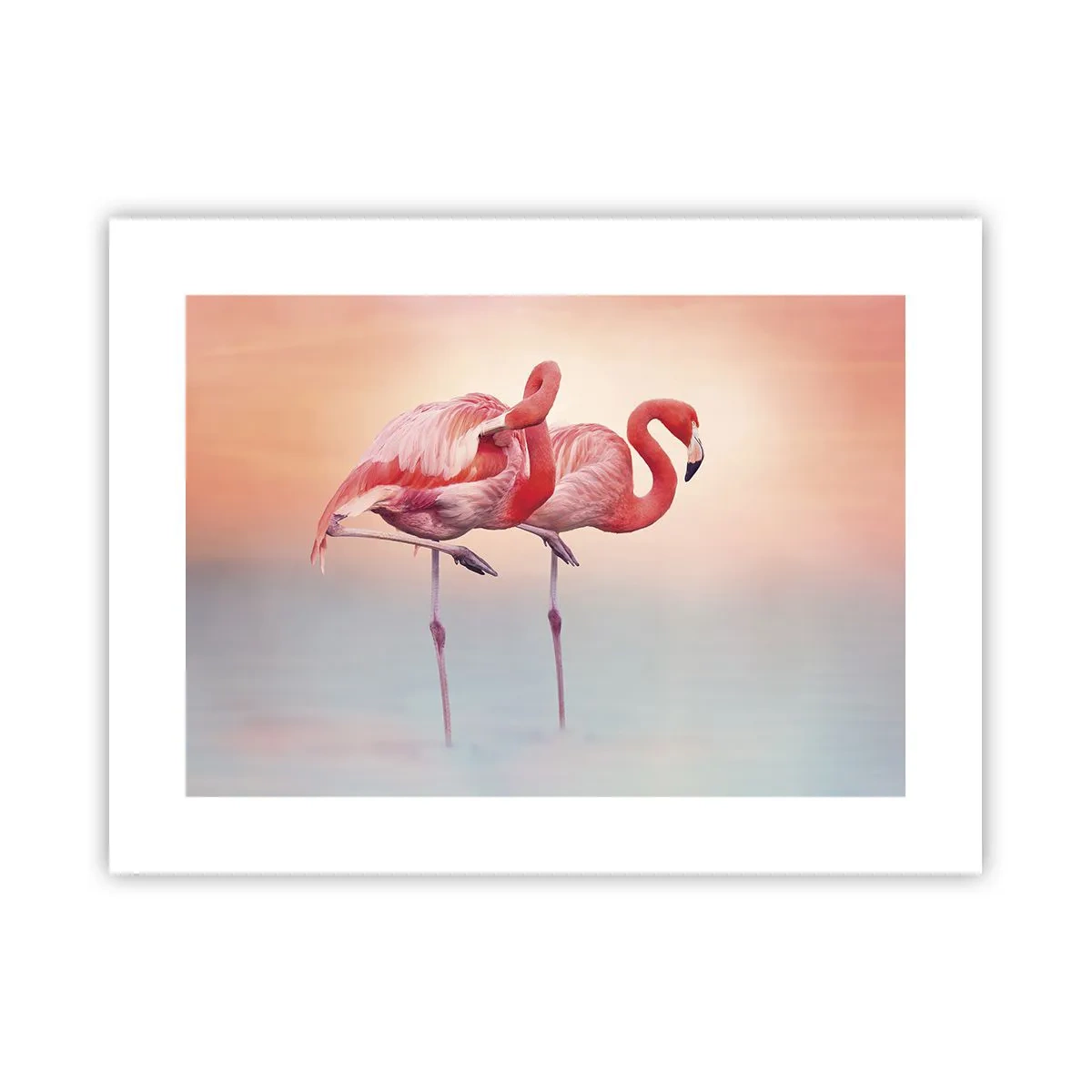 Affiche - Poster - Dans les couleurs du soleil couchant - 40x30 cm