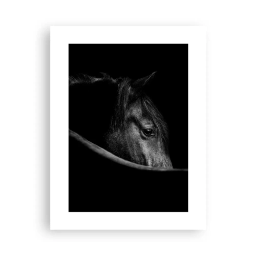 Affiche - Poster - Prince Noir - 30x40 cm