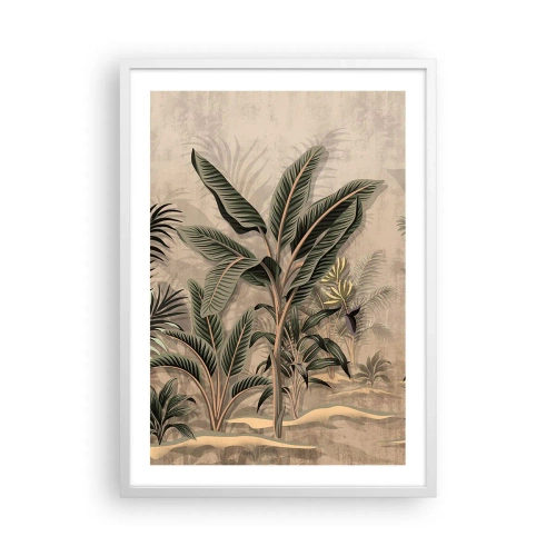 Affiche dans un cadre blanc - Poster - Une gravure de style colonial - 50x70 cm