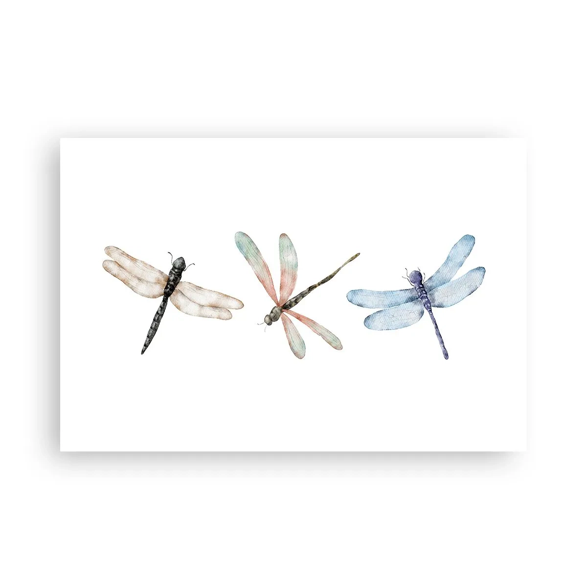 Affiche - Poster - Libellules en apesanteur - 91x61 cm