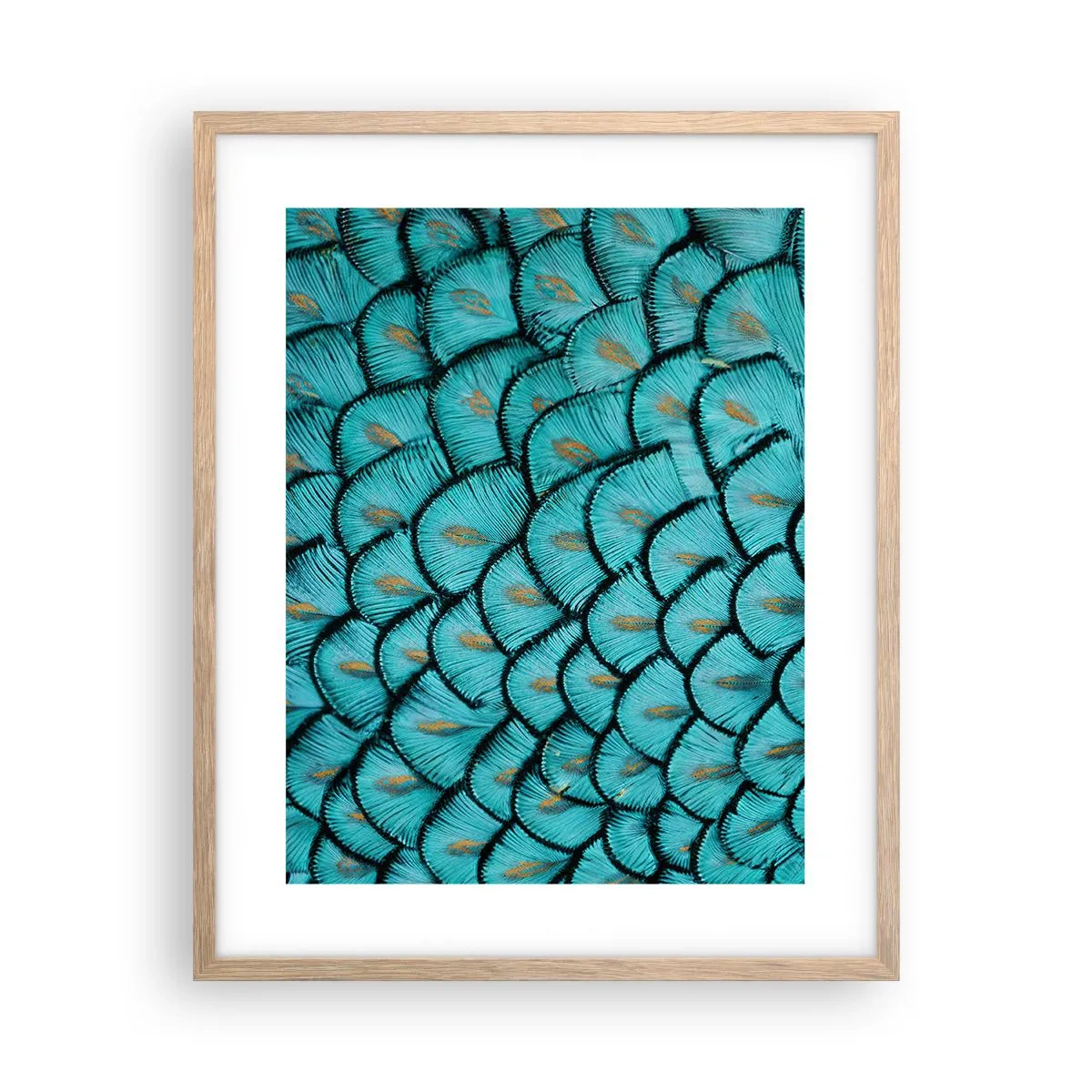 Affiche dans un chêne clair - Poster - Le grand gala des plumes - 40x50 cm