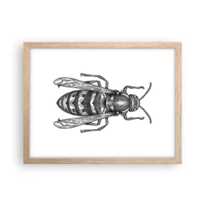 Affiche dans un chêne clair - Poster - D'une planète d'insectes - 40x30 cm