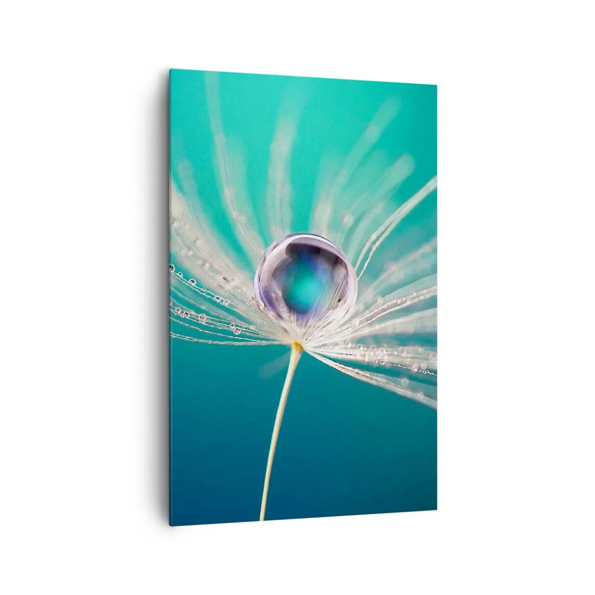 Impression sur toile - Image sur toile - Macro d'une goutte d'eau sur une délicate graine de pissenlit - 80x120cm - Moment mystique - Décoration murale moderne pour le salon et la chambre ARTTOR