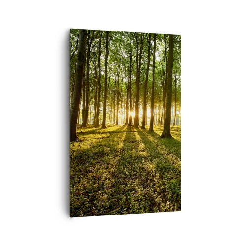 Impression sur toile - Image sur toile - Le soleil couchant dans la forêt de feuillus - 80x120cm - Toutes les photographies de printemps - Décoration murale moderne pour le salon et la chambre ARTTOR