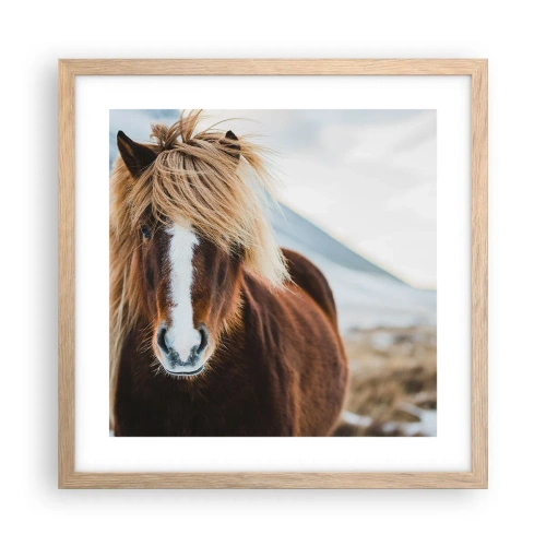 Affiche dans un chêne clair - Poster - Sentez-vous la liberté ? - 40x40 cm