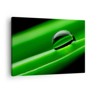 Impression sur toile - Image sur toile - Gros plan d'une goutte de rosée sur une feuille verte - 70x50cm - La vie de près - Décoration murale moderne pour le salon et la chambre ARTTOR