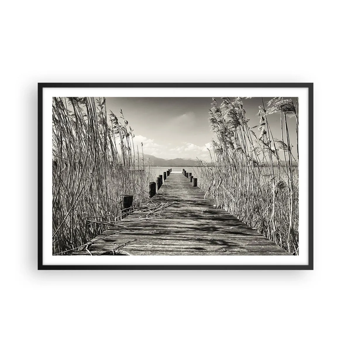 Affiche dans un cadre noir - Poster - Dans le calme de l'herbe - 91x61 cm