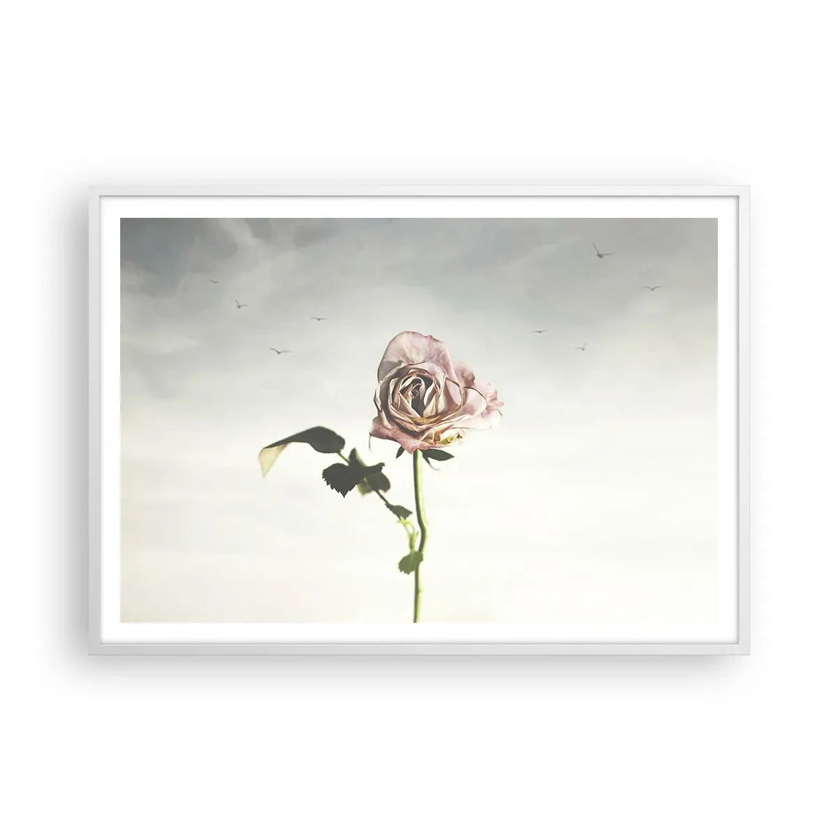 Affiche dans un cadre blanc - Poster - Bonjour de printemps - 100x70 cm