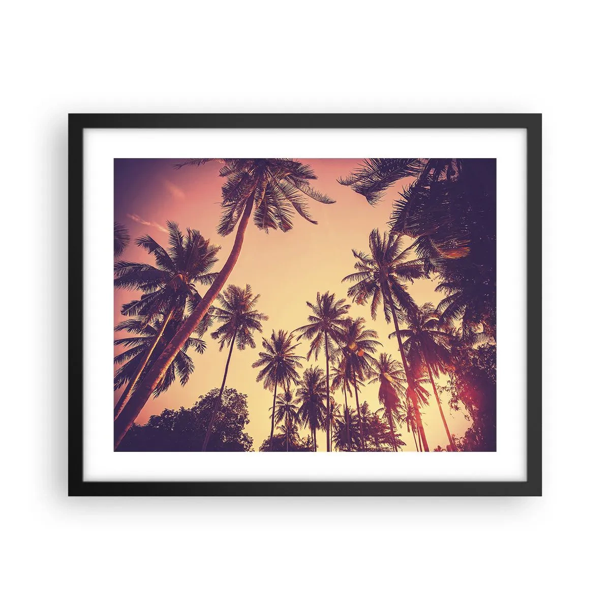 Affiche dans un cadre noir - Poster - Variation tropicale - 50x40 cm