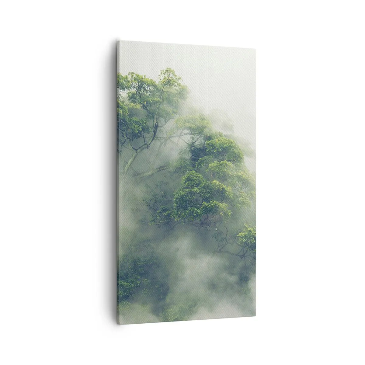 Impression sur toile - Image sur toile - Enveloppé de brouillard - 55x100 cm