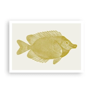 Affiche - Poster - Poisson rouge vintage sur fond clair - 100x70cm - Du poisson et c'est tout - Décoration murale moderne pour le salon et la chambre ARTTOR