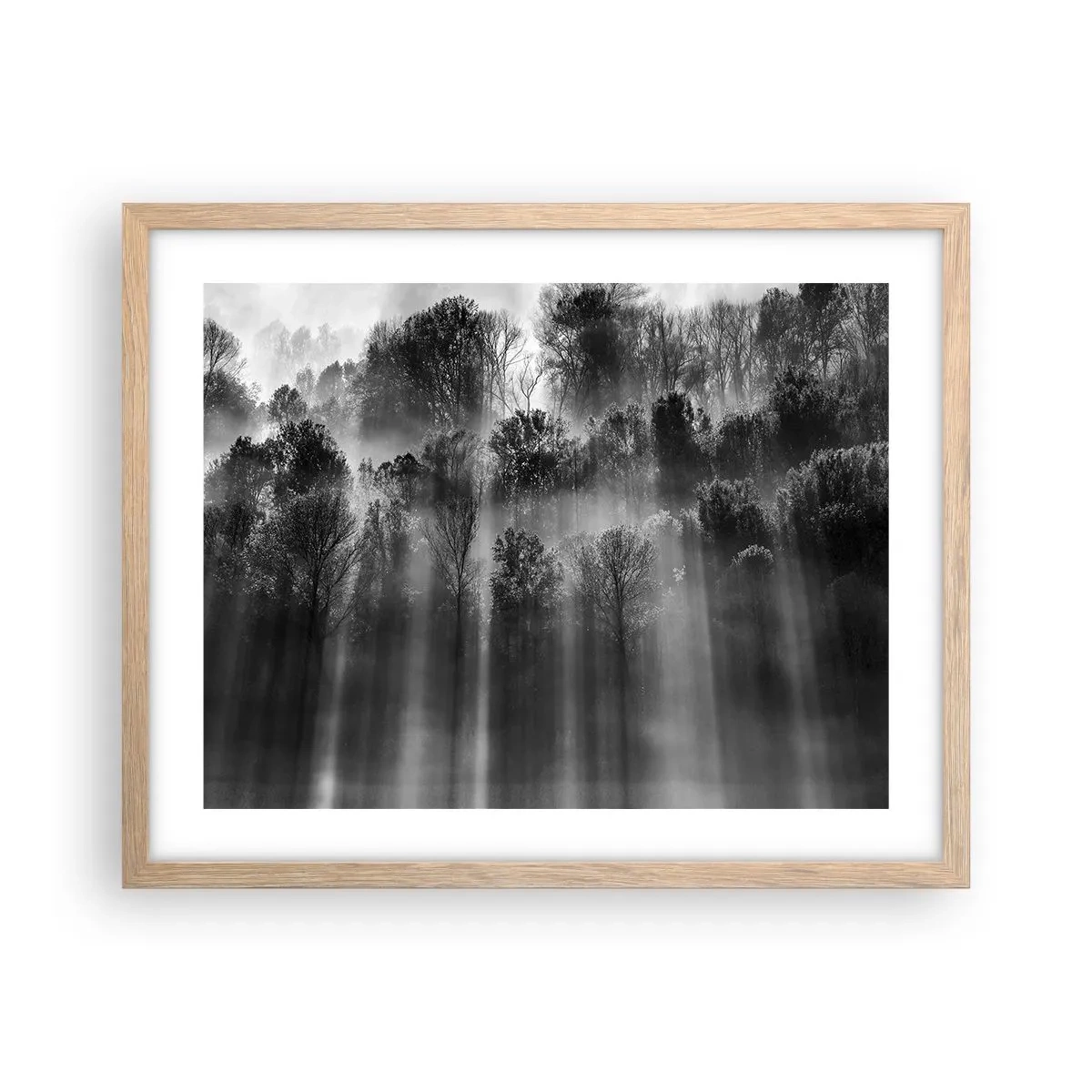 Affiche dans un chêne clair - Poster - Dans les flots de lumière - 50x40 cm