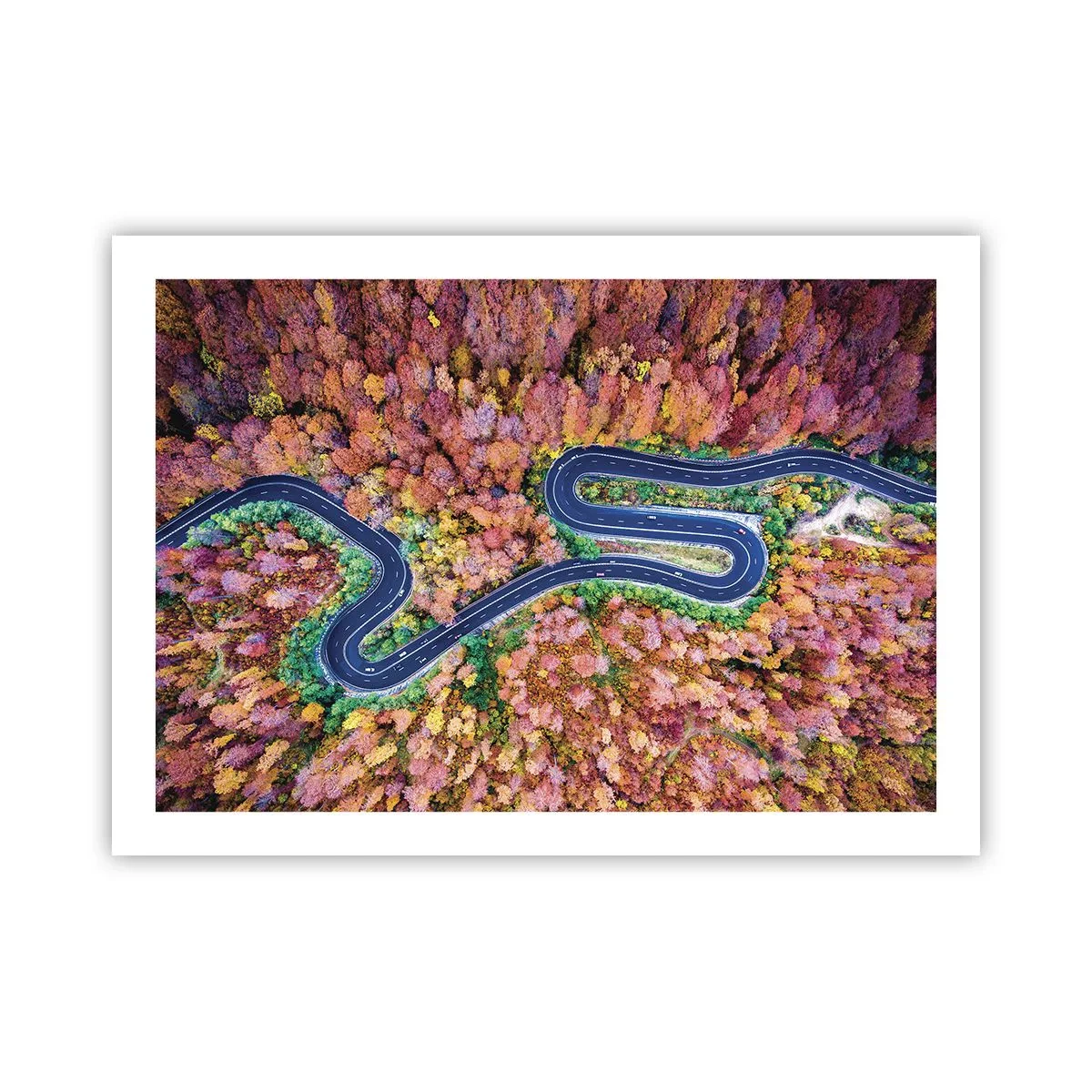 Affiche - Poster - Route sinueuse à travers la forêt - 70x50 cm