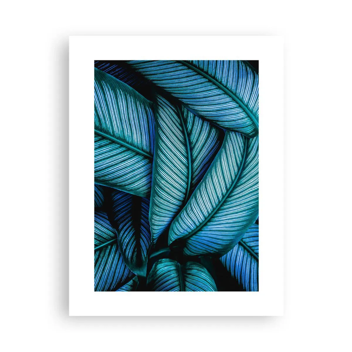 Affiche - Poster - Lignes de vie - 30x40 cm